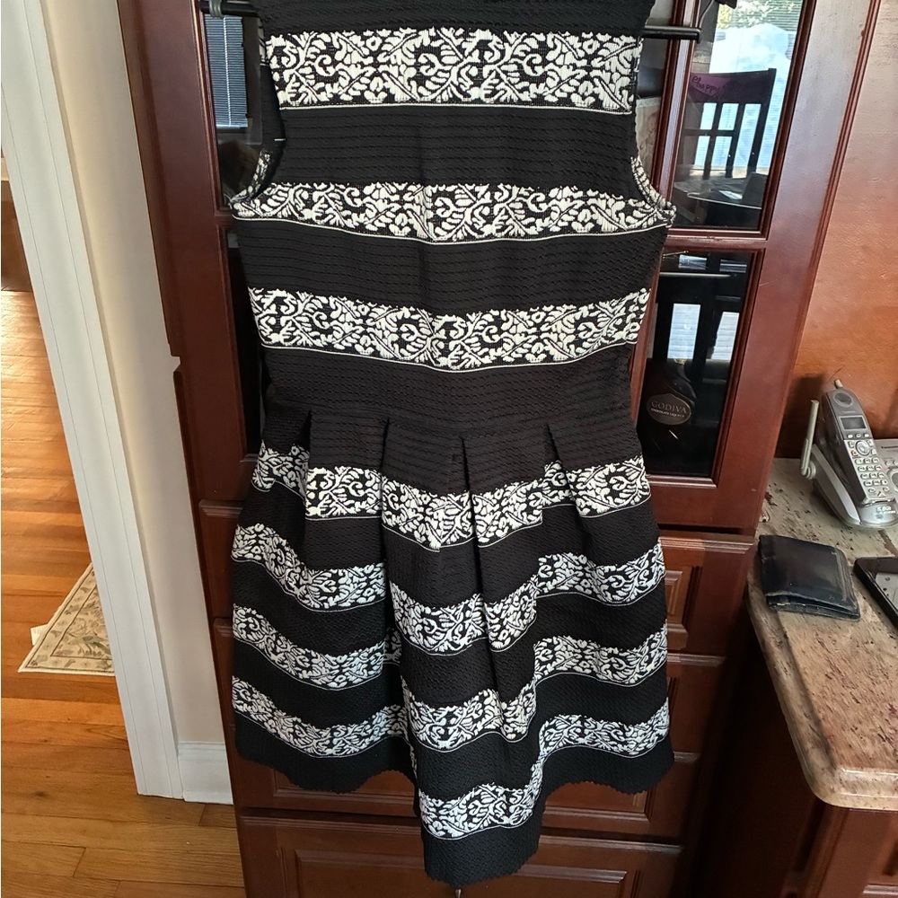 Aqua Black and White Striped Mini Dress